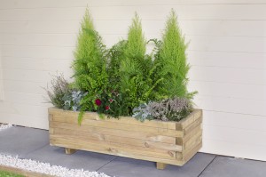 Forest AGNPLHD Agen Planter HD