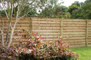1.8m x 1.2m Pressure Treated Decorative Europa Plain Fence Panel - Pack of 3 (Home Delivery)