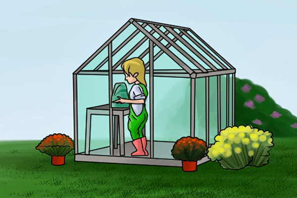 Greenhouse in garden