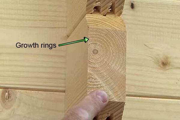 Growth rings on slow grown timber