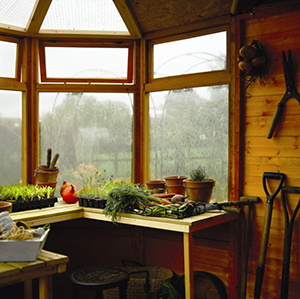 Potting Shed