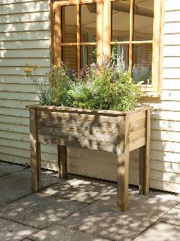 Forest Garden Planters